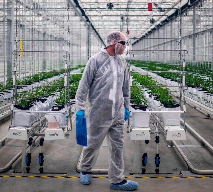 The facilities of Tilray and Aphria are huge