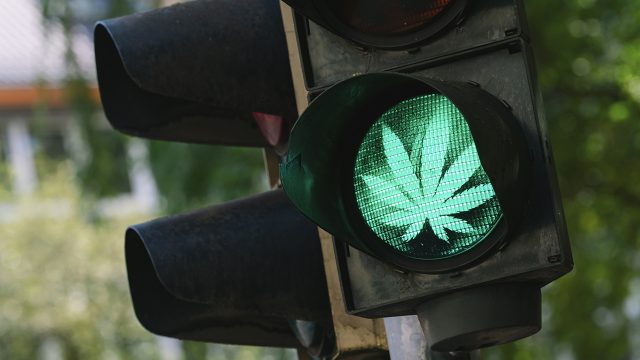 green light for cannabis is not ready in Asia