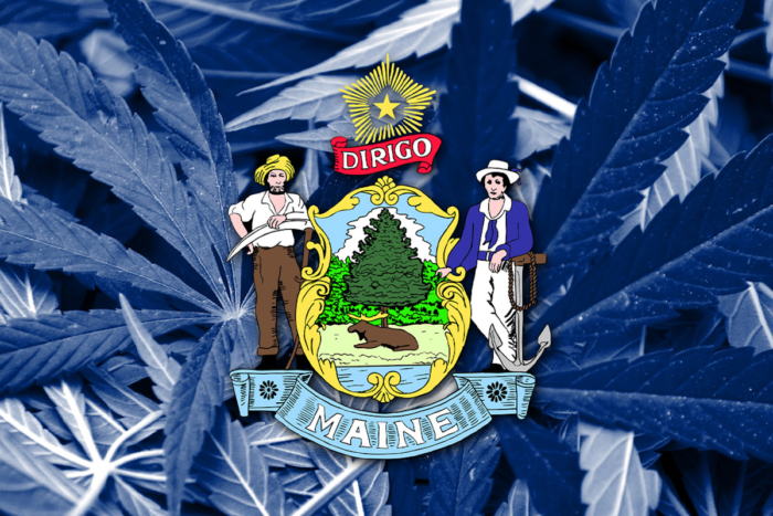 The coat of arms of maine reminds us of a cannabis flower.