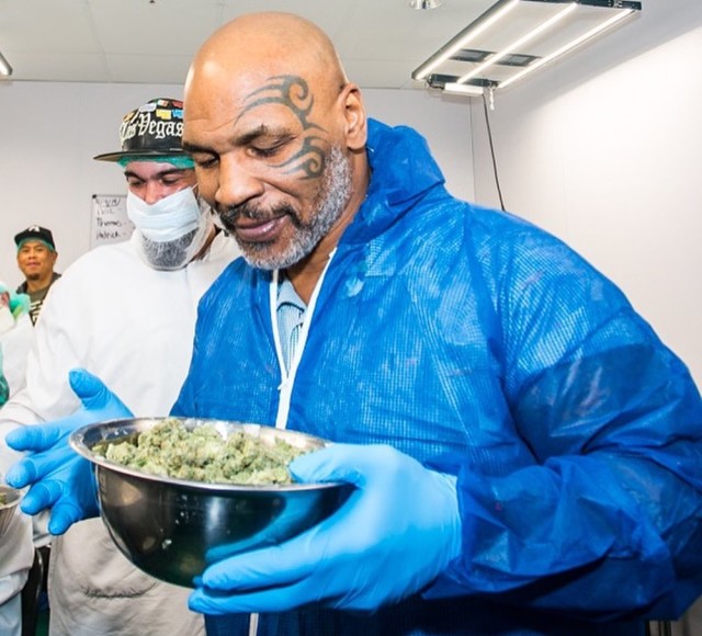 Mike Tyson cannabis business