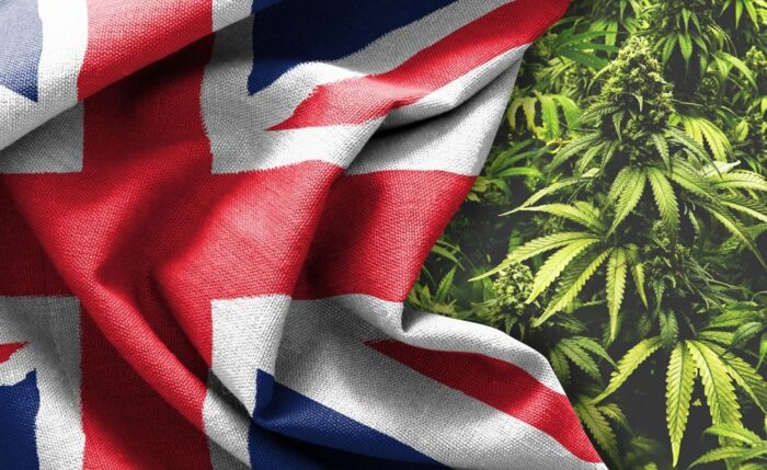 Cannabis and Brexit