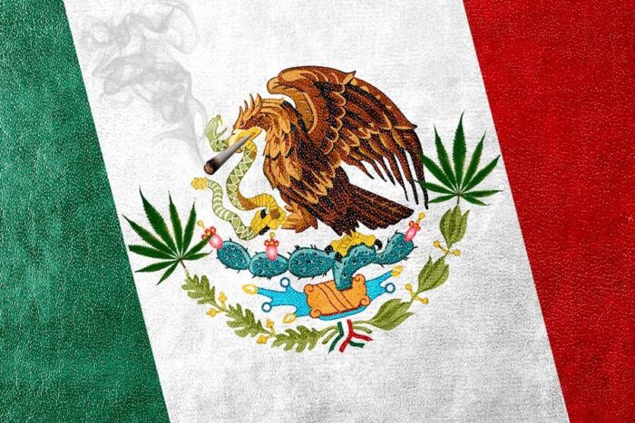 mexico cannabis bill