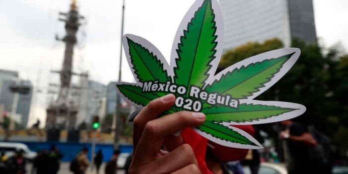 mexico cannabis bill