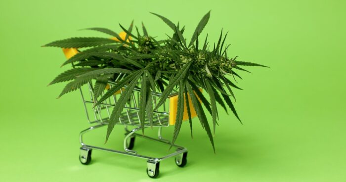 roaring 2020 weed cannabis decade