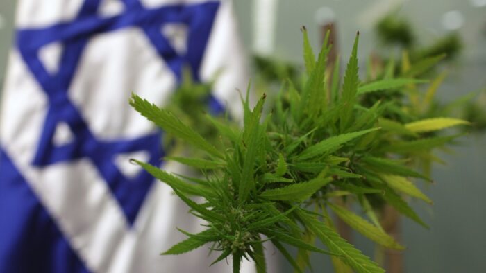 cannabis israeli nasdaq