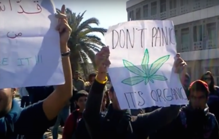 Protesters call for the decriminalization of cannabis at a protest in Tunisia since 2012 (source: YouTube).