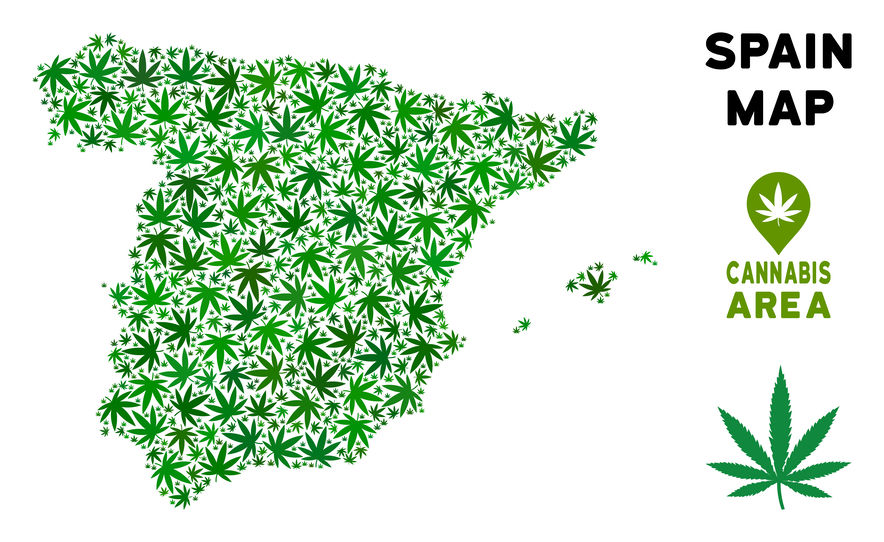 Легализация марихуаны испания профессиональные семена цветов и овощей