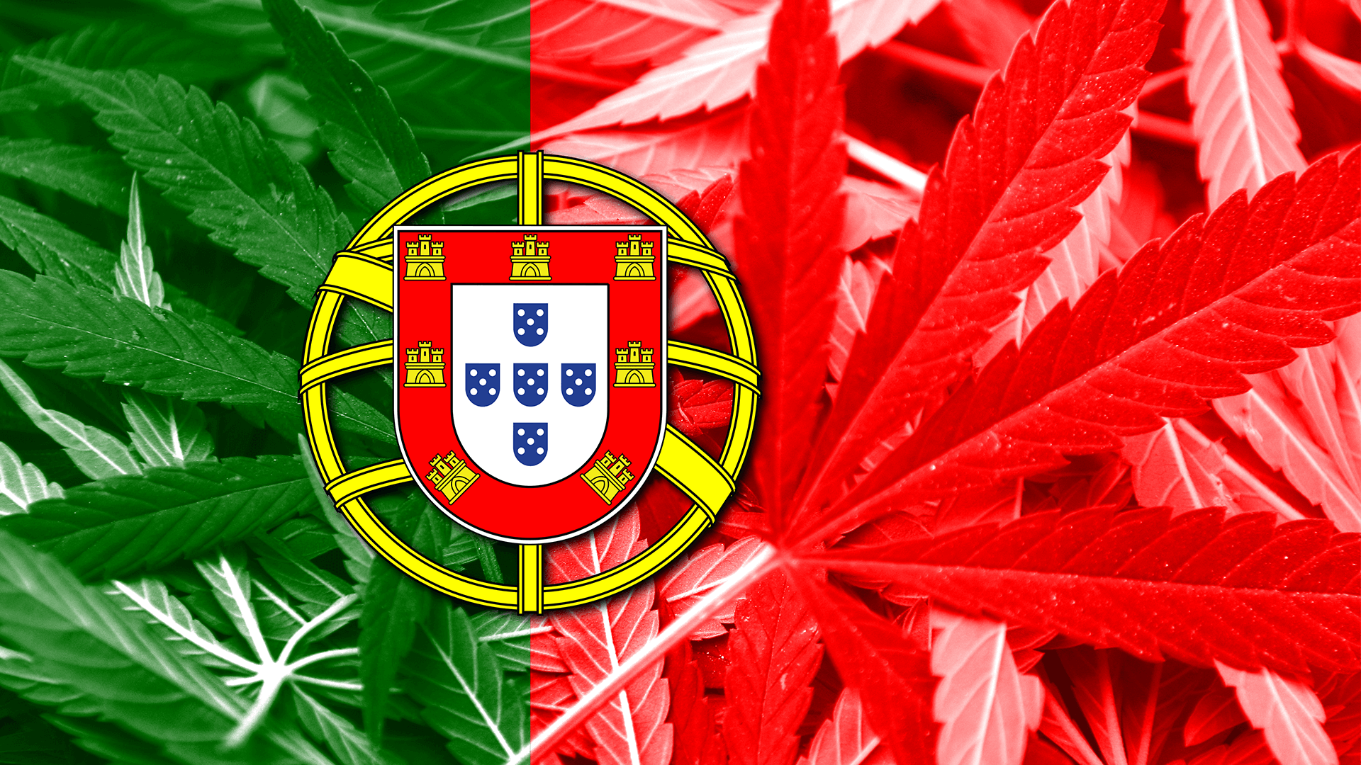 Португалии марихуана марихуана милан